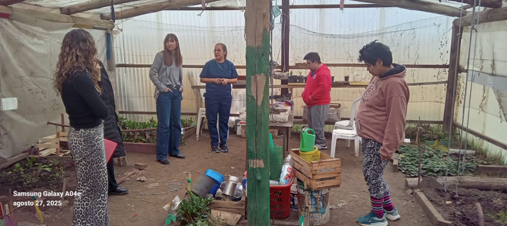 Huerta y Jardinería