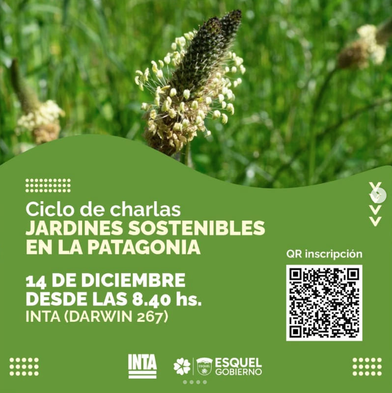 Capacitación de poda y uso de motosierras