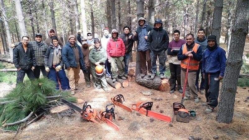 Taller práctico de capacitación en arbolado urbano