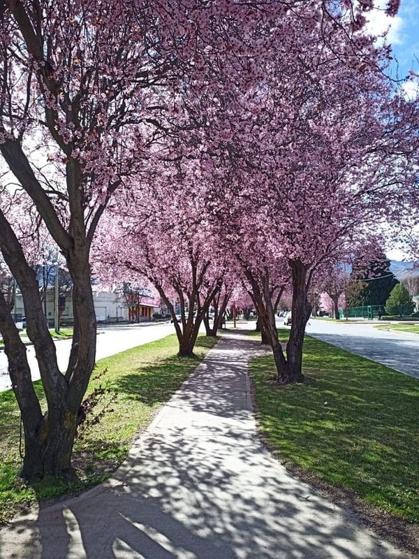 Eventos en espacios verdes urbanos