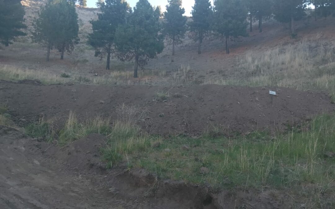 Esquel: El municipio desalojó una ocupación ilegal en el camino al Cerro La Cruz