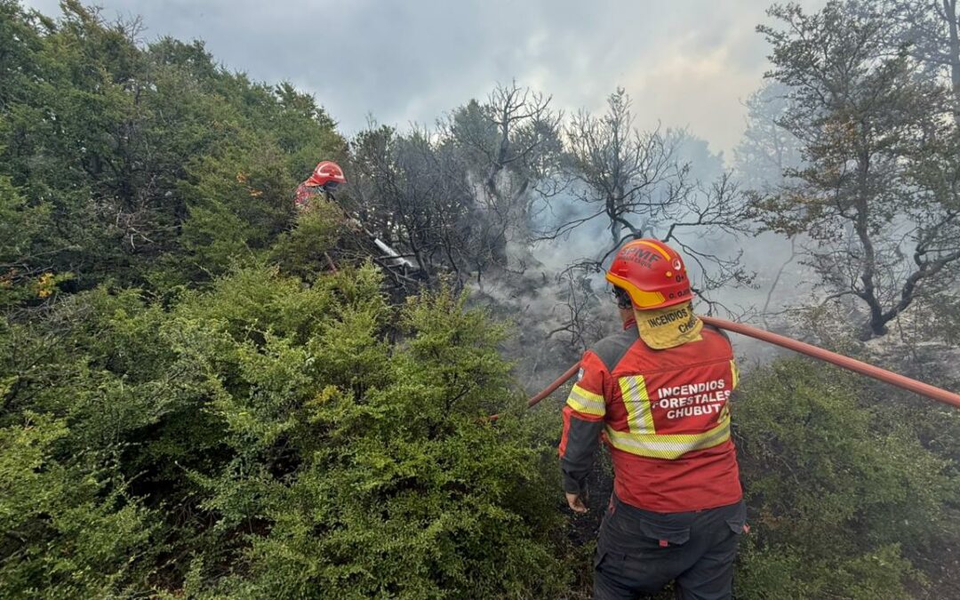 Incendio PNLA: El municipio de Esquel refuerza la asistencia con maquinaria en la zona de Laguna Villarino y abastecimiento de agua en Alto Río Percy