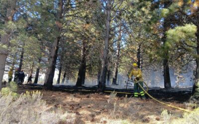 Incendio intencional en la RNU La Zeta fue controlado y extinguido