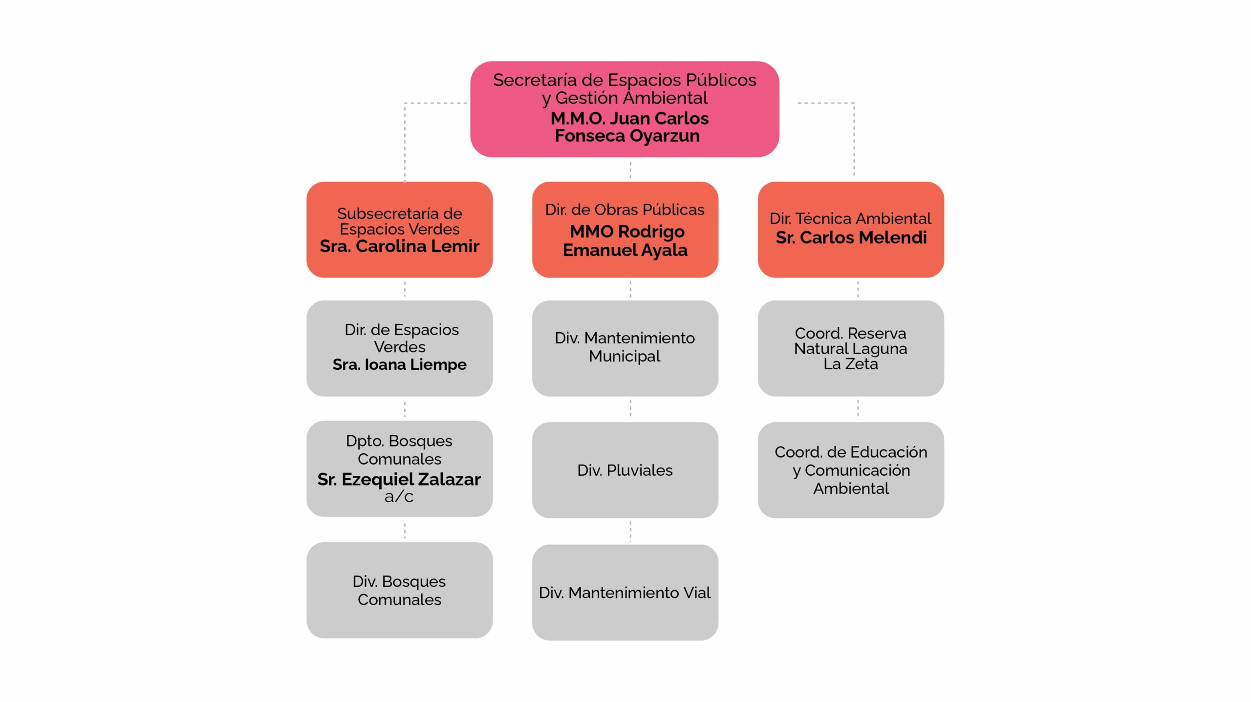 Organigrama 2025 - Parte 6