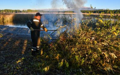 Esquel: El municipio realiza tareas integrales de limpieza, poda y prevención de incendios en La Zeta
