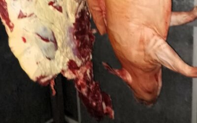Controles de Bromatología: la Municipalidad decomisó carne sin controles sanitarios y refuerza las medidas para proteger la salud pública
