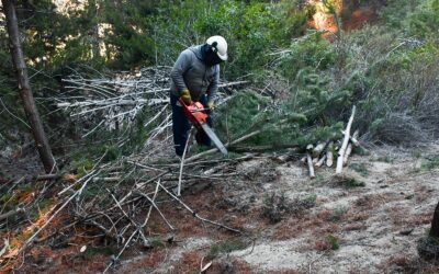 Esquel avanza con trabajos preventivos para reducir el riesgo de incendios de interfase