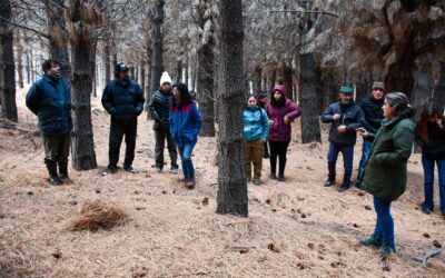 La Municipalidad de Esquel abrió la convocatoria para el Programa Piloto de Manejo de Bosques Comunales