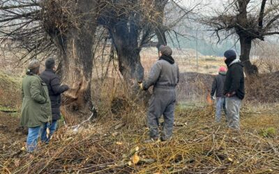 Inició la obra del Parque Lineal Medardo Morelli: «Será un espacio para que la gente se lo apropie y lo disfrute»