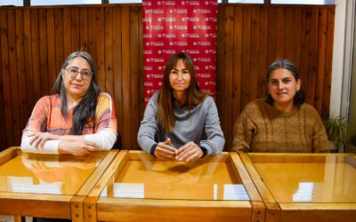 Esquel: El municipio organiza una nueva edición de la Fiesta de los Ciruelos en Flor