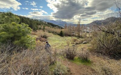 Esquel: El municipio avanza en la puesta en valor del Parque Botánico como reserva natural urbana